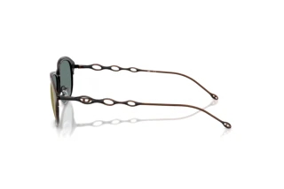 Vue latérale Diesel DL1011 (10254Z)