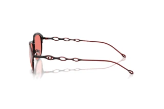 Vue latérale Diesel DL1011 (10267E)