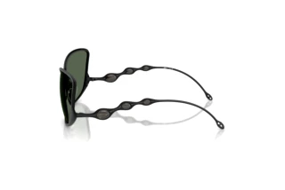 Vue latérale Diesel DL1013 (101371)