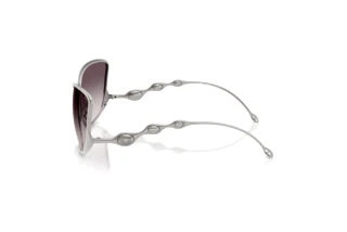 Vue latérale Diesel DL1013 (101411)