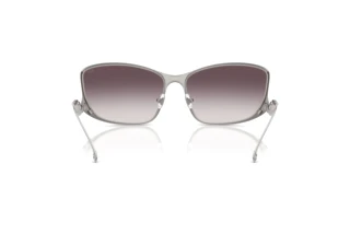 Vue arrière Diesel DL1013 (101411)