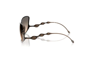 Vue latérale Diesel DL1013 (1023I9)