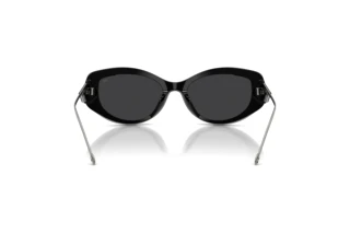 Vue arrière Diesel DL2001MU (701/6G)