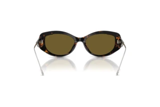 Vue arrière Diesel DL2001MU (711/73)