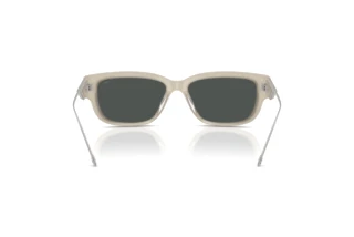 Vue arrière Diesel DL2002MU (201987)