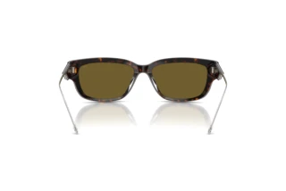 Vue arrière Diesel DL2002MU (713/73)