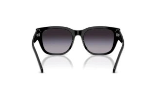 Vue arrière Diesel DL2005 (20018G)