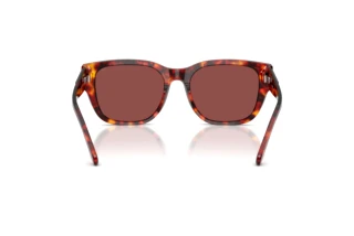 Vue arrière Diesel DL2005 (202375)