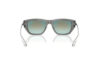 Vue arrière Diesel DL2006 (2027B6)