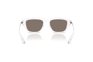 Vue arrière Diesel DL2006 (20286G)