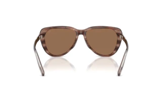 Vue arrière Diesel DL2011U (203673)