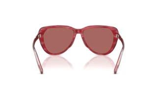 Vue arrière Diesel DL2011U (203869)