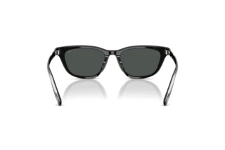 Vue arrière Diesel DL2012U (200187)