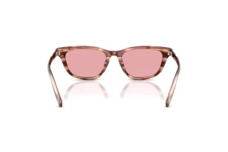 Vue arrière Diesel DL2012U (203684)