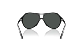 Vue arrière Diesel DL2013U (200187)