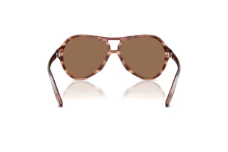 Vue arrière Diesel DL2013U (203673)