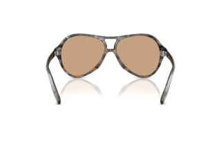 Vue arrière Diesel DL2013U (203963)