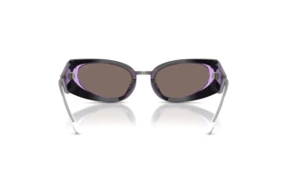 Vue arrière Diesel DL2014U (20452S)