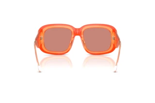 Vue arrière Diesel DL2015U (20477J)