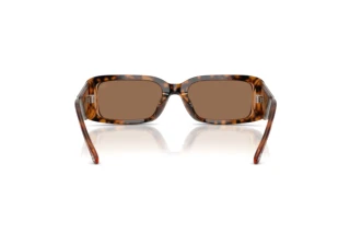 Vue arrière Diesel DL2017U (205073)