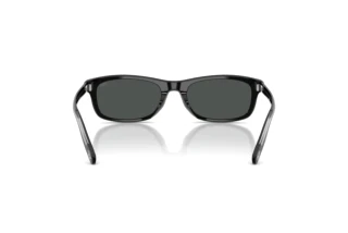 Vue arrière Diesel DL2018U (200187)