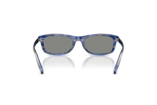 Vue arrière Diesel DL2018U (203787)