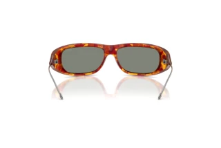 Vue arrière Diesel DL3001 (20236R)