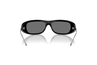 Vue arrière Diesel DL3001 (501/6G)