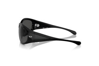 Vue latérale Diesel DL3002 (501S87)