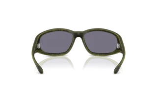 Vue arrière Diesel DL3002 (511/J2)