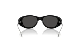 Vue arrière Diesel DL3003 (501/87)