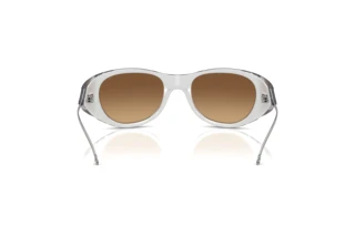 Vue arrière Diesel DL3003 (507/B8)