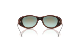 Vue arrière Diesel DL3003 (508/B6)