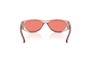 Vue arrière Diesel DL3004U (20107E)