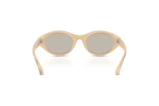 Vue arrière Diesel DL3005U (2008/3)