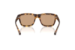 Vue arrière Diesel DL3006U (201363)