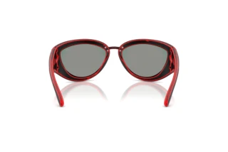 Vue arrière Diesel DL3007U (20096P)