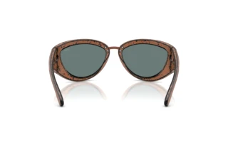 Vue arrière Diesel DL3007U (20114Z)