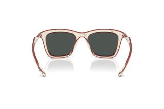 Vue arrière Diesel DL3008U (201087)