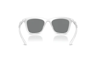 Vue arrière Diesel DL3008U (202987)