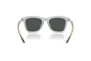 Vue arrière Diesel DL3008U (203087)