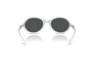 Vue arrière Diesel DL3009U (202987)