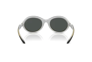 Vue arrière Diesel DL3009U (203087)