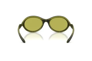 Vue arrière Diesel DL3009U (511/2)