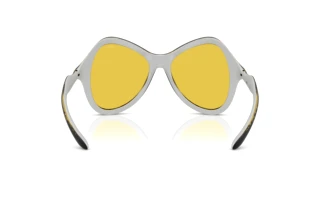 Vue arrière Diesel DL3010U (2030V9)