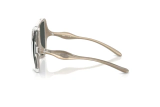 Vue latérale Diesel DL3010U (203587)