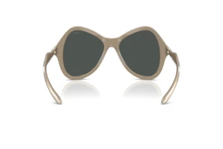 Vue arrière Diesel DL3010U (203587)