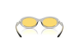 Vue arrière Diesel DL3011U (203085)