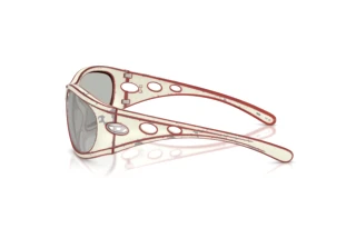 Vue latérale Diesel DL3012U (20108V)