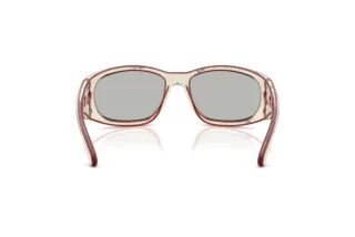 Vue arrière Diesel DL3012U (20108V)